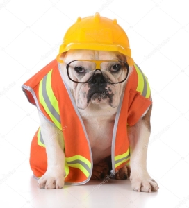 depositphotos_69966311-stock-photo-working-dog